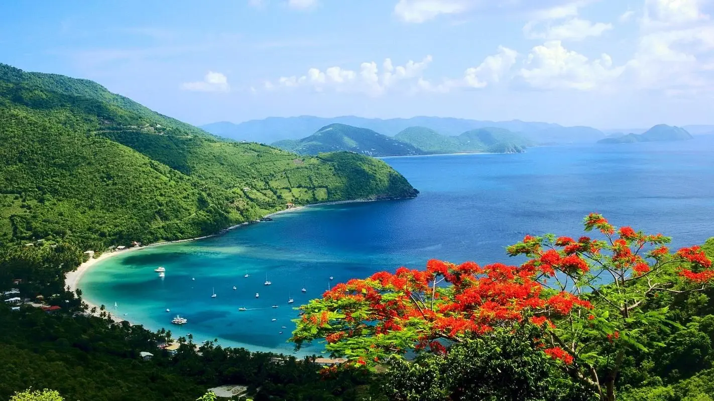 高标准高端精密